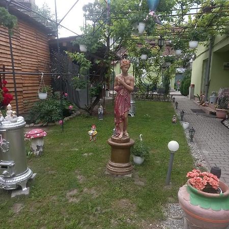 Casa Elena Apartment ซิวิโชอารา ภายนอก รูปภาพ