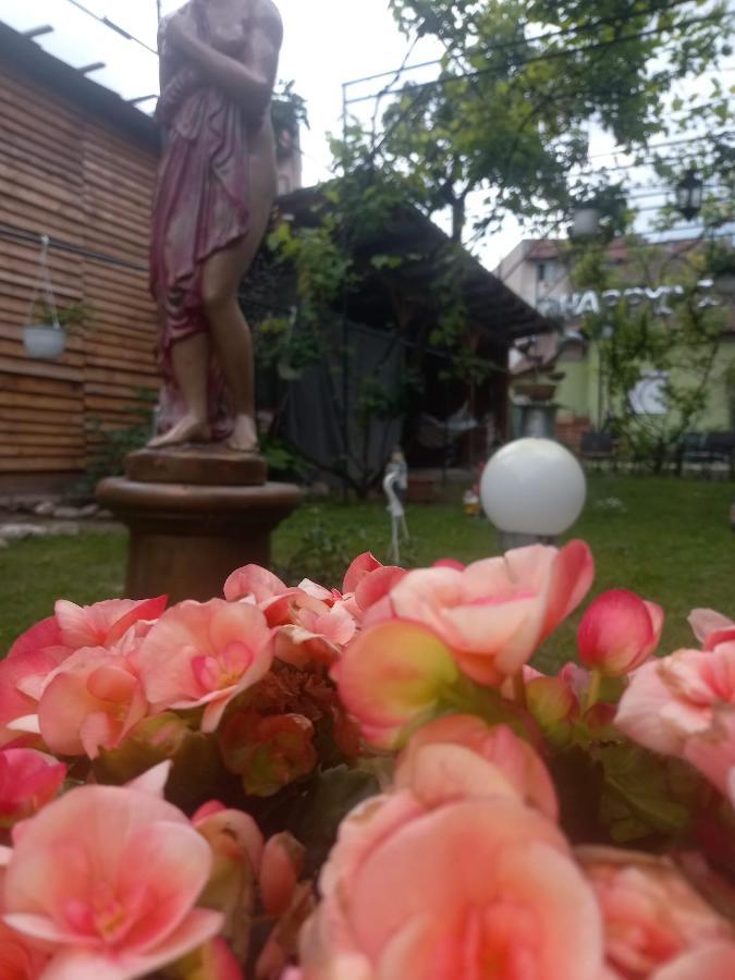 Casa Elena Apartment ซิวิโชอารา ภายนอก รูปภาพ