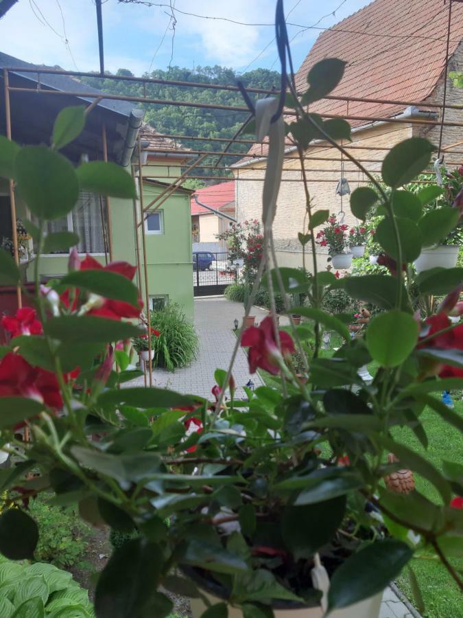 Casa Elena Apartment ซิวิโชอารา ภายนอก รูปภาพ